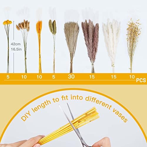 Vue 4 de Sosayet Pampa Sechees Naturelle