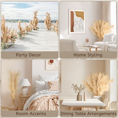 Vue 7 de Lot De Pampa Xxl