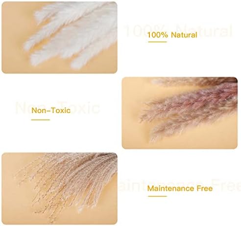 Vue 5 de Sosayet Pampa Sechees Naturelle