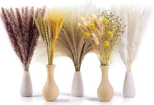 Vue 6 de Sosayet Pampa Sechees Naturelle