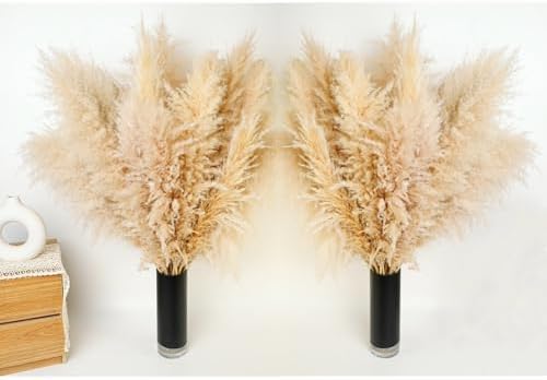 Vue 4 de Decoration Dherbe De La