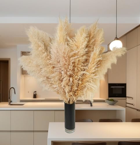 Vue 5 de Decoration Dherbe De La