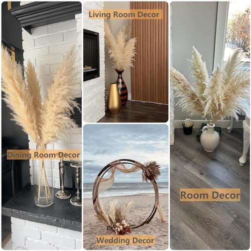 Vue 7 de Decoration Dherbe De La