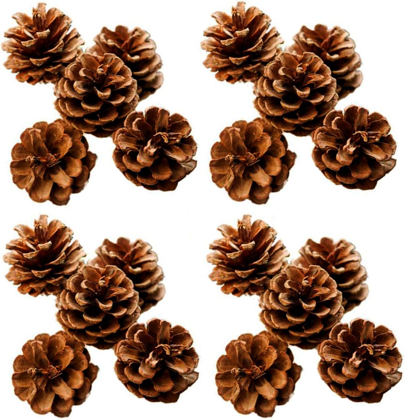 Ashuxxn Pieces Pommes De