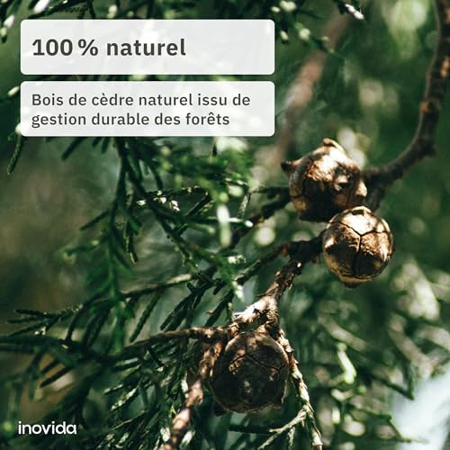 Vue 5 de Inovida Anneaux De Cedre