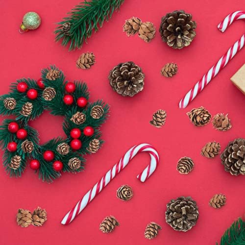 Vue 7 de Lot De Mini Pommes