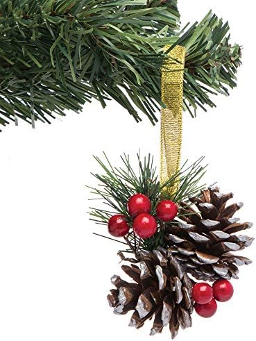 Vue 3 de Baker Ross Pommes De