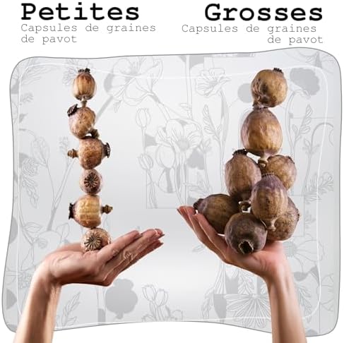 Vue 3 de Mypoppies Capsules De Fleurs