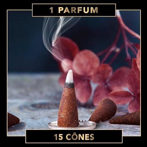 Vue 2 de Fumino Cones Encens Naturel