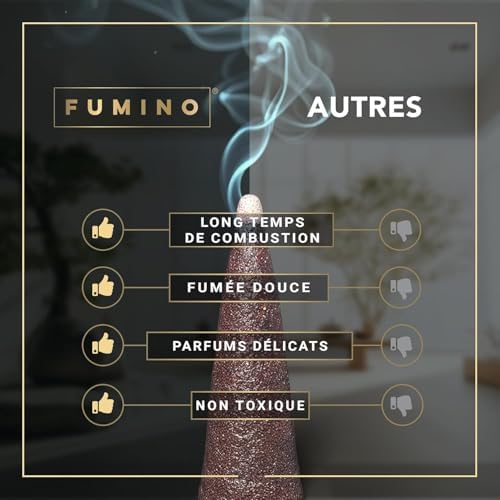 Vue 6 de Fumino Cones Encens Naturel