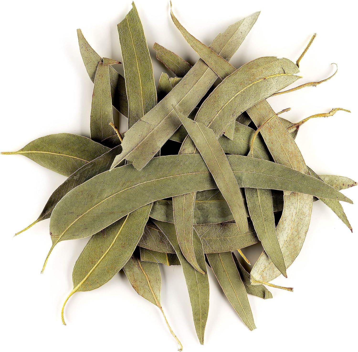 Eucalyptus Feuille Bio Tisane