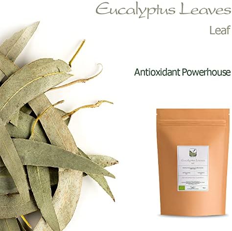 Vue 4 de Eucalyptus Feuille Bio Tisane