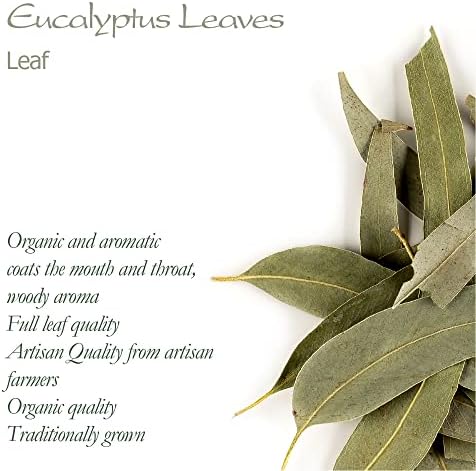 Vue 6 de Eucalyptus Feuille Bio Tisane