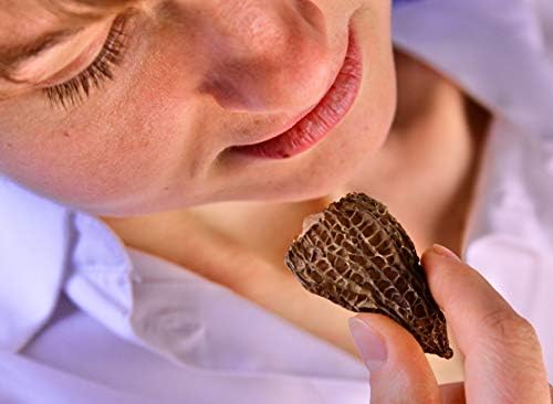 Vue 2 de Champignons Morilles Pure Chapeau