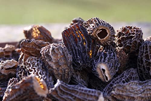 Vue 3 de Champignons Morilles Pure Chapeau