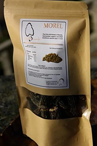 Vue 7 de Champignons Morilles Pure Chapeau
