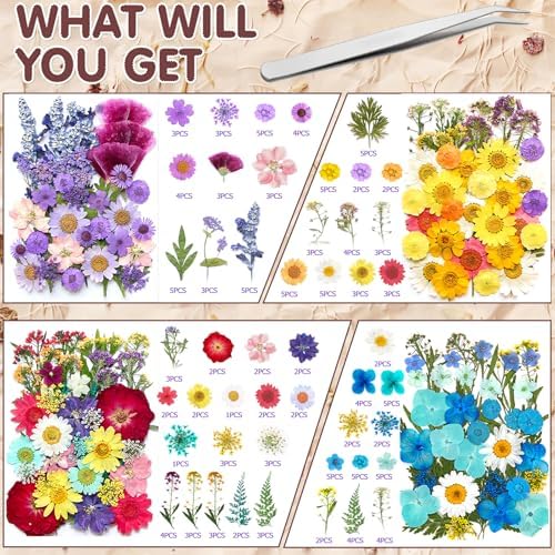 Vue 2 de Vautvis Fleurs Sechees Fleurs