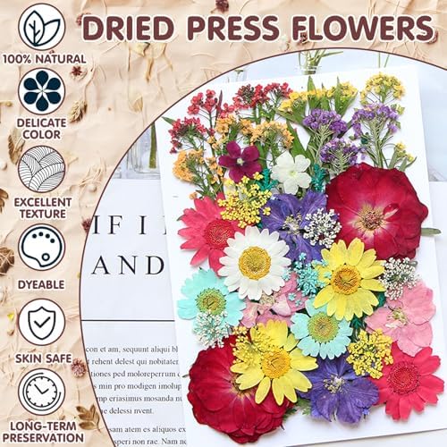 Vue 3 de Vautvis Fleurs Sechees Fleurs