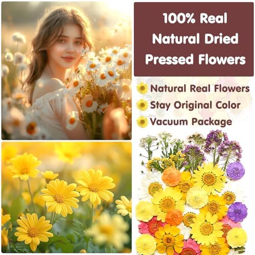 Vue 6 de Vautvis Fleurs Sechees Fleurs