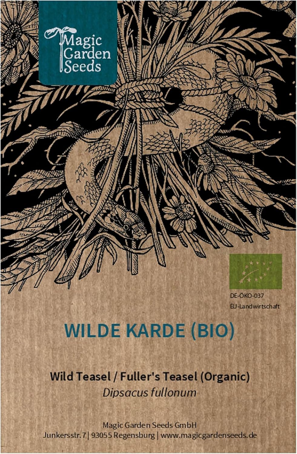 Cardere Sauvages Dipsacus Fullonum