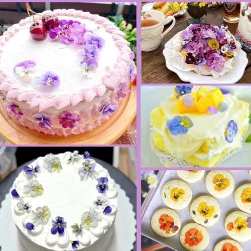 Vue 3 de Celblisora Pieces De Varietes