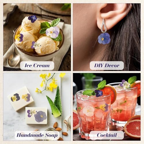 Vue 5 de Celblisora Pieces De Varietes