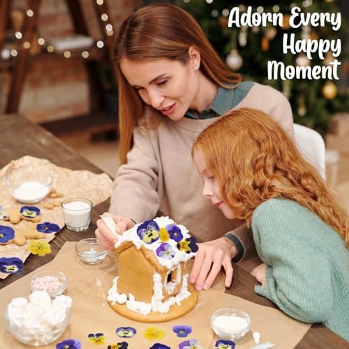 Vue 7 de Celblisora Pieces De Varietes