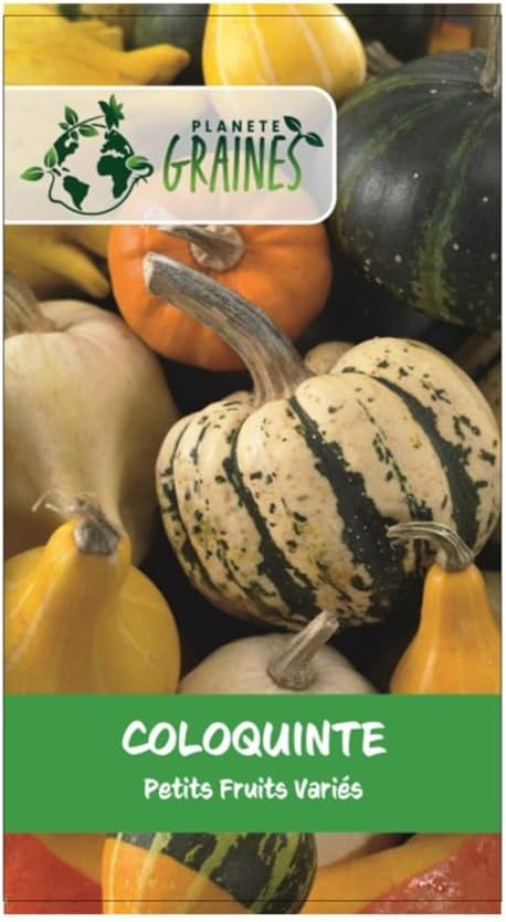 Graines De Coloquinte En