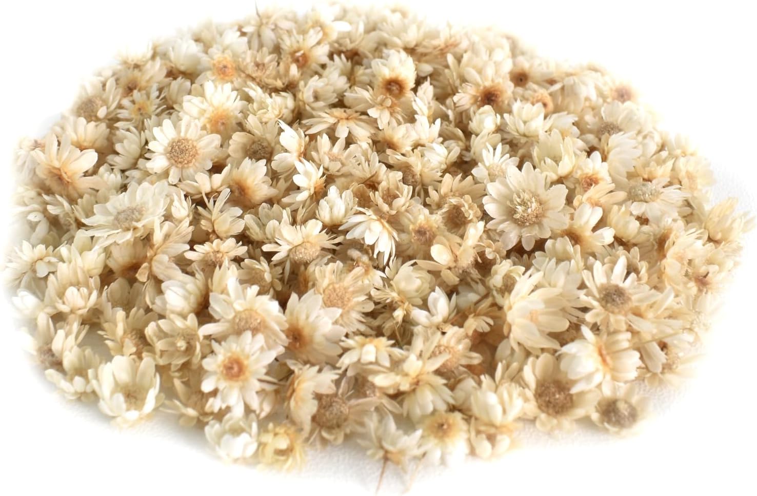 Petites Fleurs Sechees Delicates