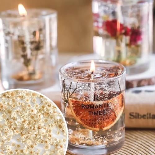 Vue 6 de Petites Fleurs Sechees Delicates