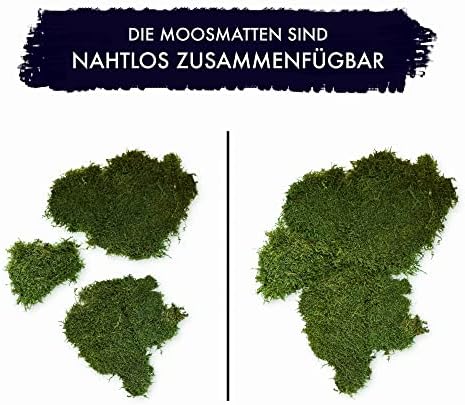 Vue 2 de Gjs Lot De Feuilles