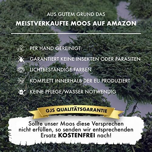 Vue 3 de Gjs Lot De Feuilles