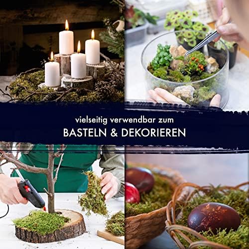 Vue 4 de Gjs Lot De Feuilles