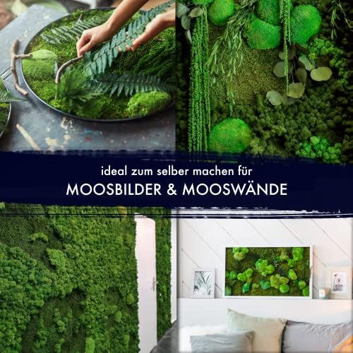 Vue 5 de Gjs Lot De Feuilles