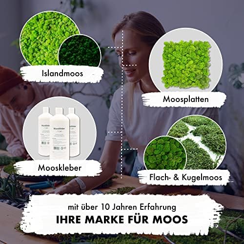 Vue 6 de Gjs Lot De Feuilles