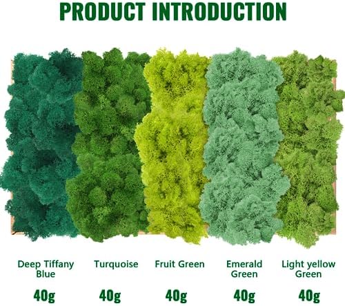 Vue 3 de Mousse De Rennemousse Sechee