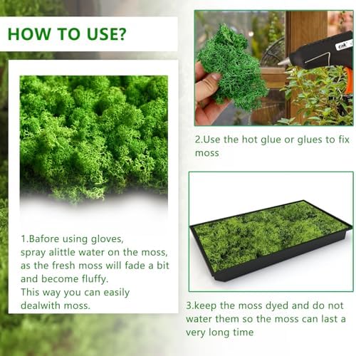 Vue 5 de Artificielle Sechee Moussegpaquetsmousse Artificielle