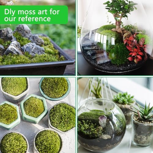 Vue 7 de Artificielle Sechee Moussegpaquetsmousse Artificielle