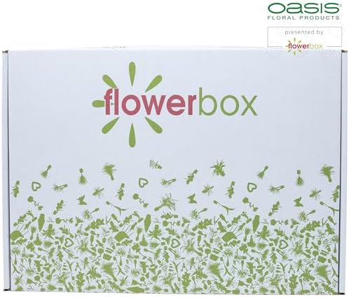 Vue 2 de Oasis Sec Mousse