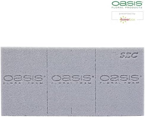 Vue 3 de Oasis Sec Mousse