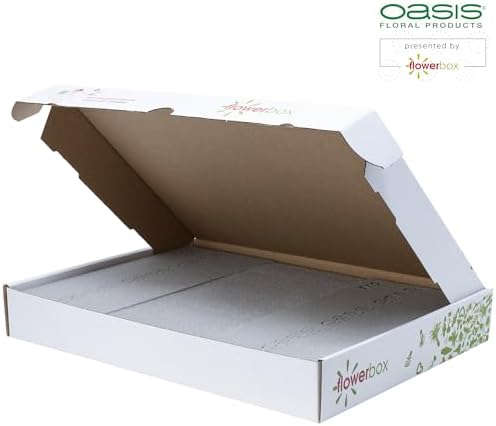 Vue 4 de Oasis Sec Mousse