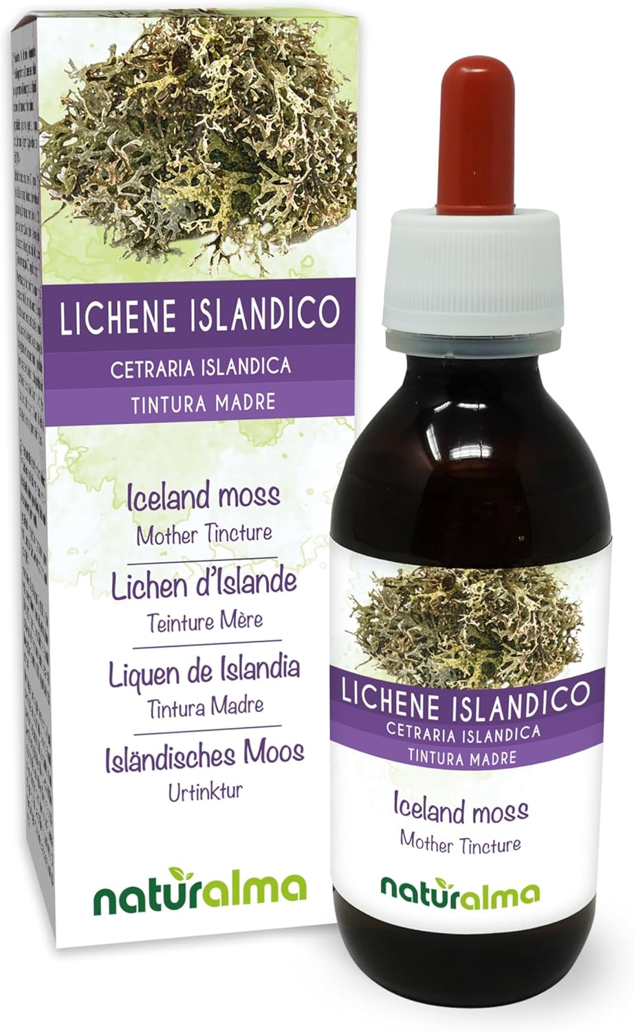 Lichen Dislande Ou Mousse