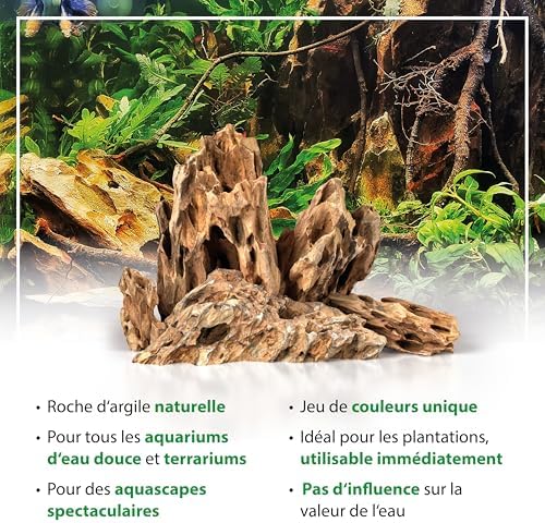 Vue 6 de Arka Pierres Dragon Kg