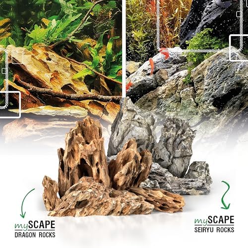 Vue 7 de Arka Pierres Dragon Kg