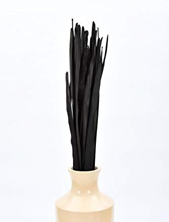 Vue 5 de Leewadee Feuilles De Palmier