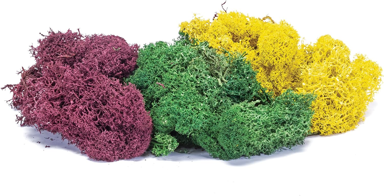 Lichen Melange Automne Gros