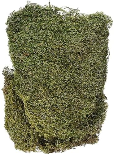 Vue 2 de Rayher Mousse Naturelle Sechee