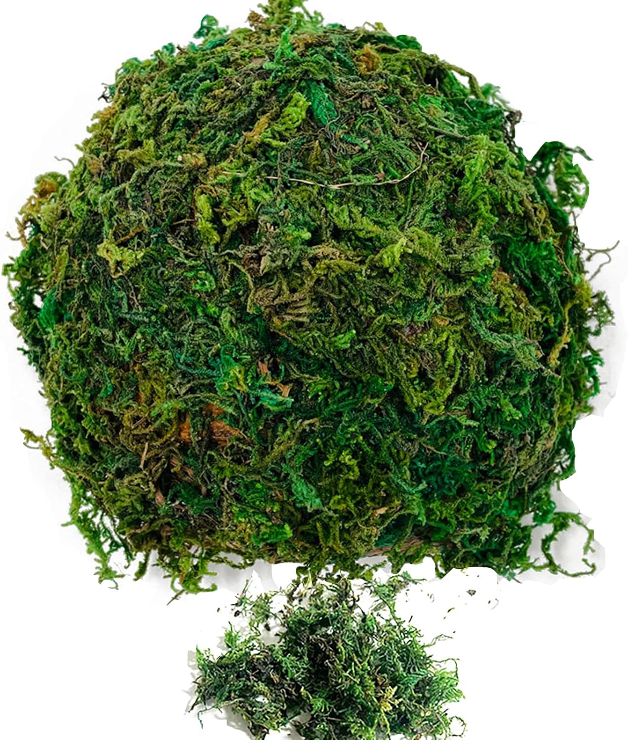 Fausse Mousseg Mousse Naturelle