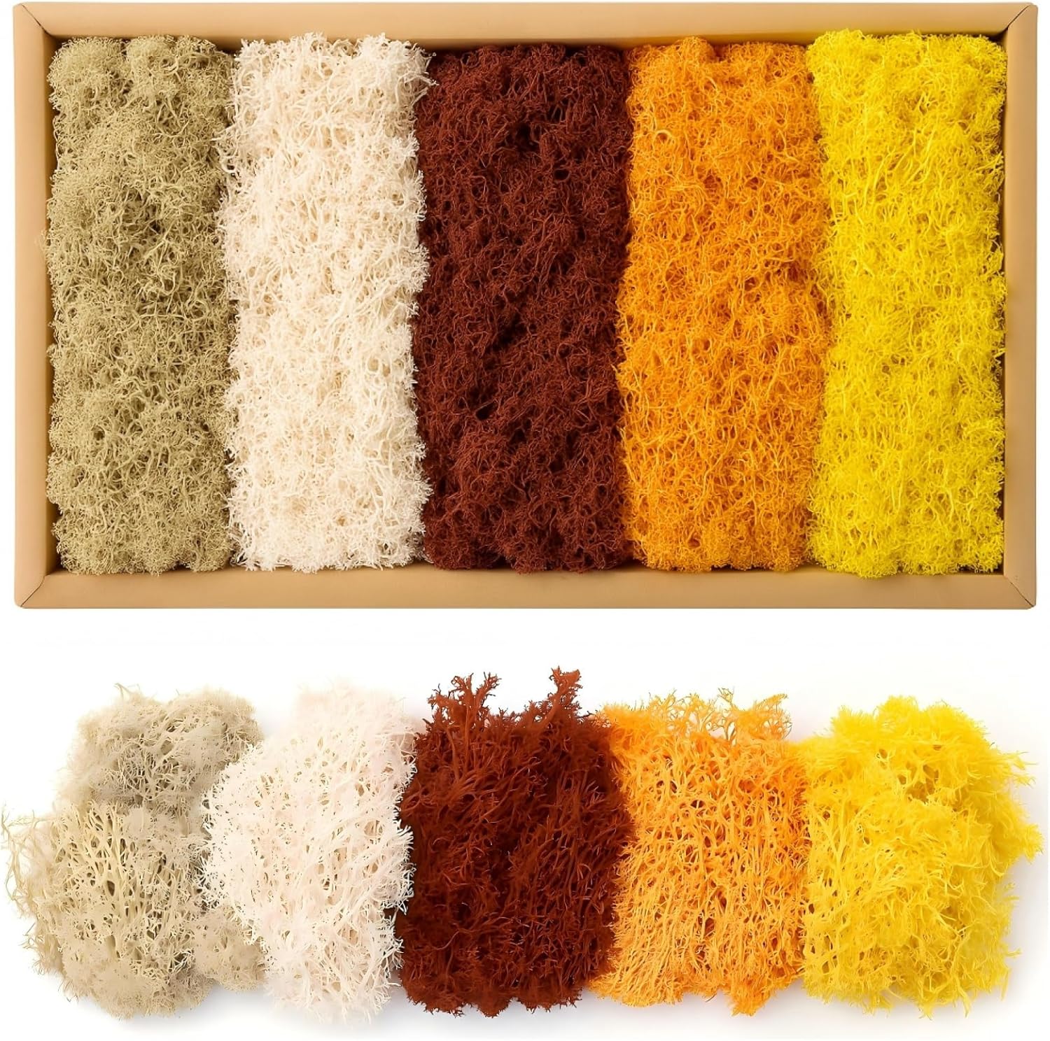 Mousse De Renne Mousse