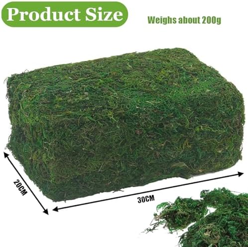 Vue 2 de Fausse Mousseg Mousse Naturelle